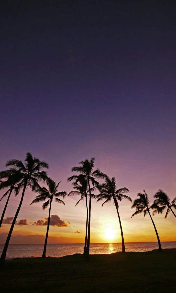 投稿写真：南国の夕日