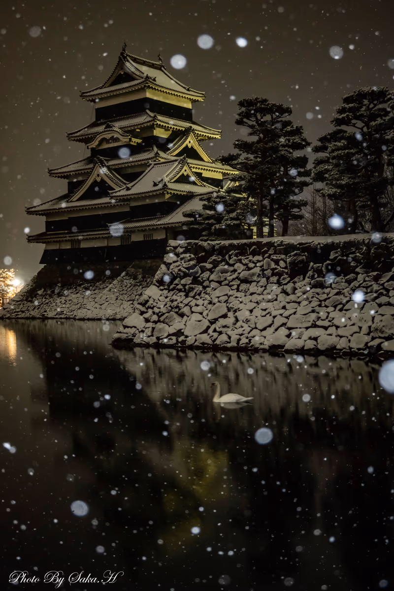 投稿写真：静寂