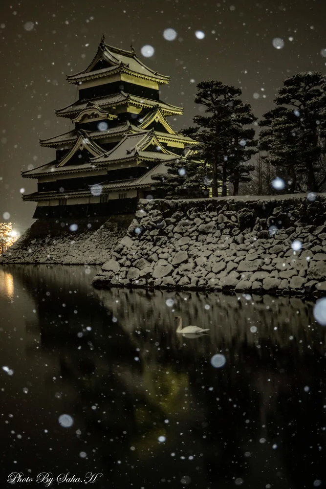 投稿写真：静寂