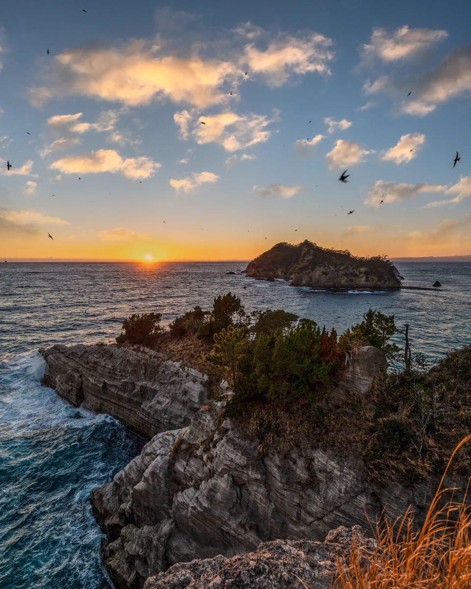 投稿写真：イワツバメと奇岩