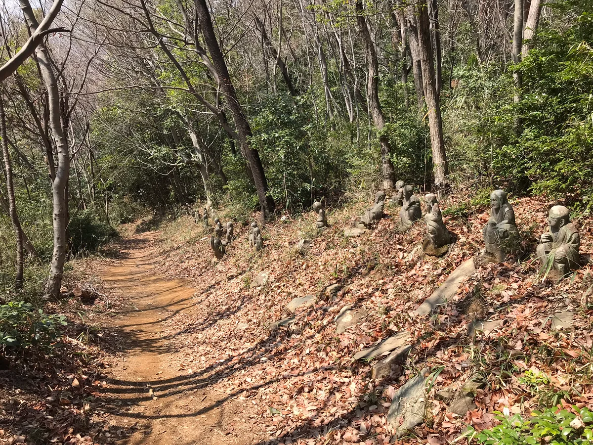 投稿写真：五百羅漢の山道