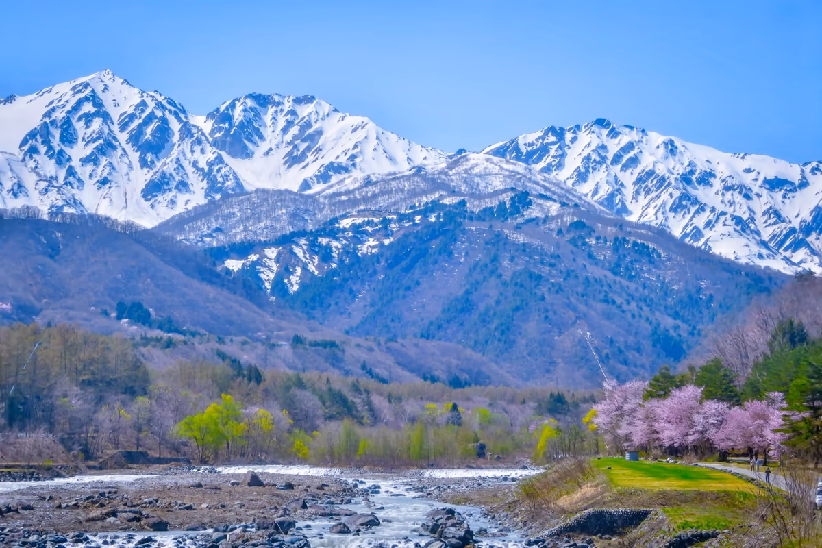 投稿写真：青空に映える残雪の白馬三山