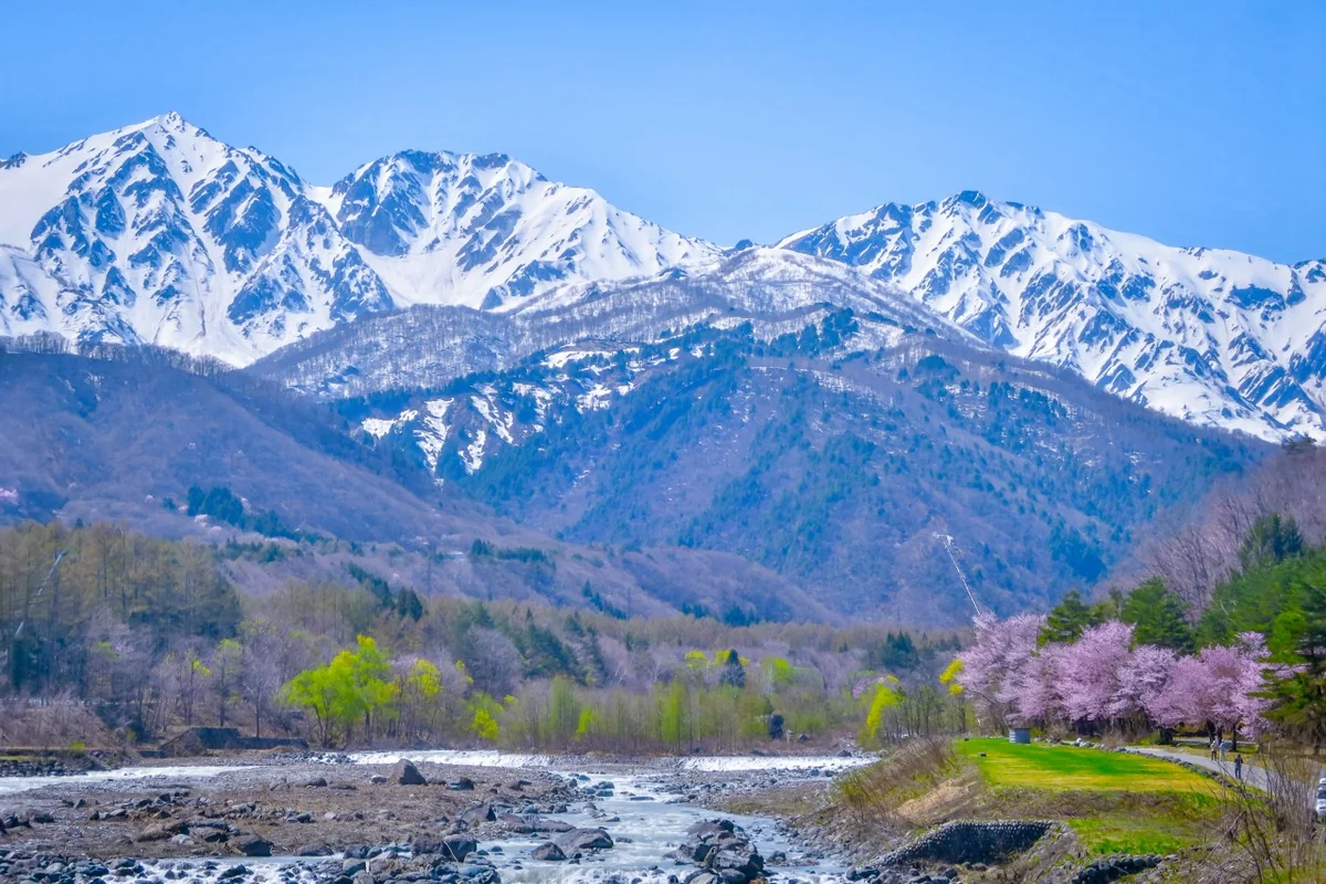 投稿写真：青空に映える残雪の白馬三山