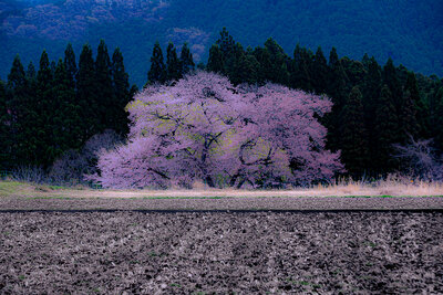  | 絶景事典