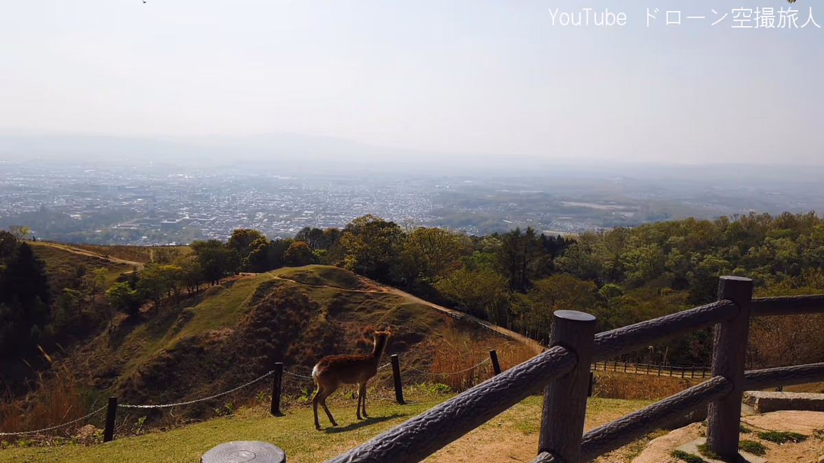 投稿写真：絶景スポットドローン空撮｜若草山 鶯塚古墳 奈良の鹿 日本