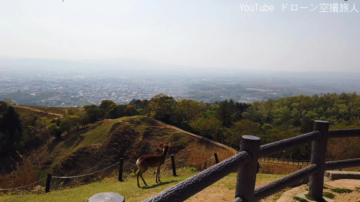 投稿写真：絶景スポットドローン空撮｜若草山 鶯塚古墳 奈良の鹿 日本