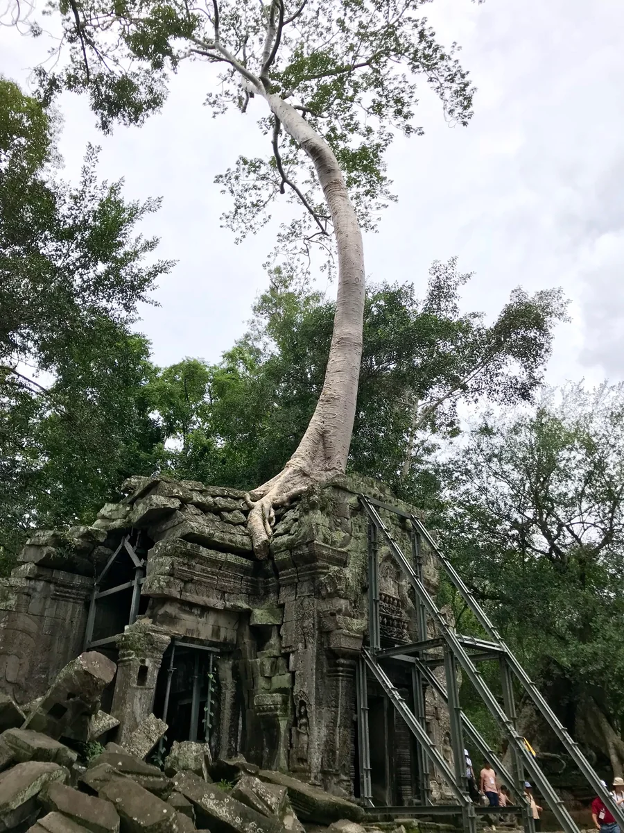 投稿写真：タ・プローム