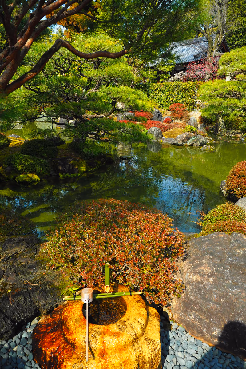 投稿写真：城南宮　庭園