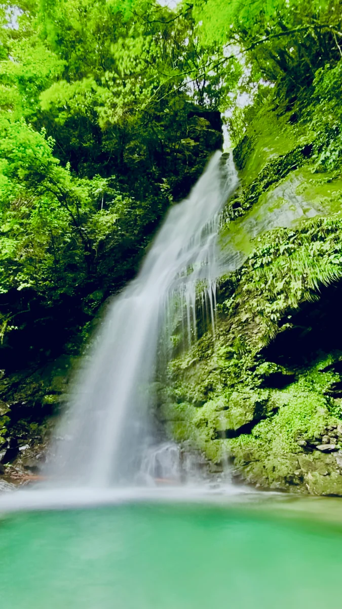 投稿写真：平家の落人伝説が残る 琵琶の滝