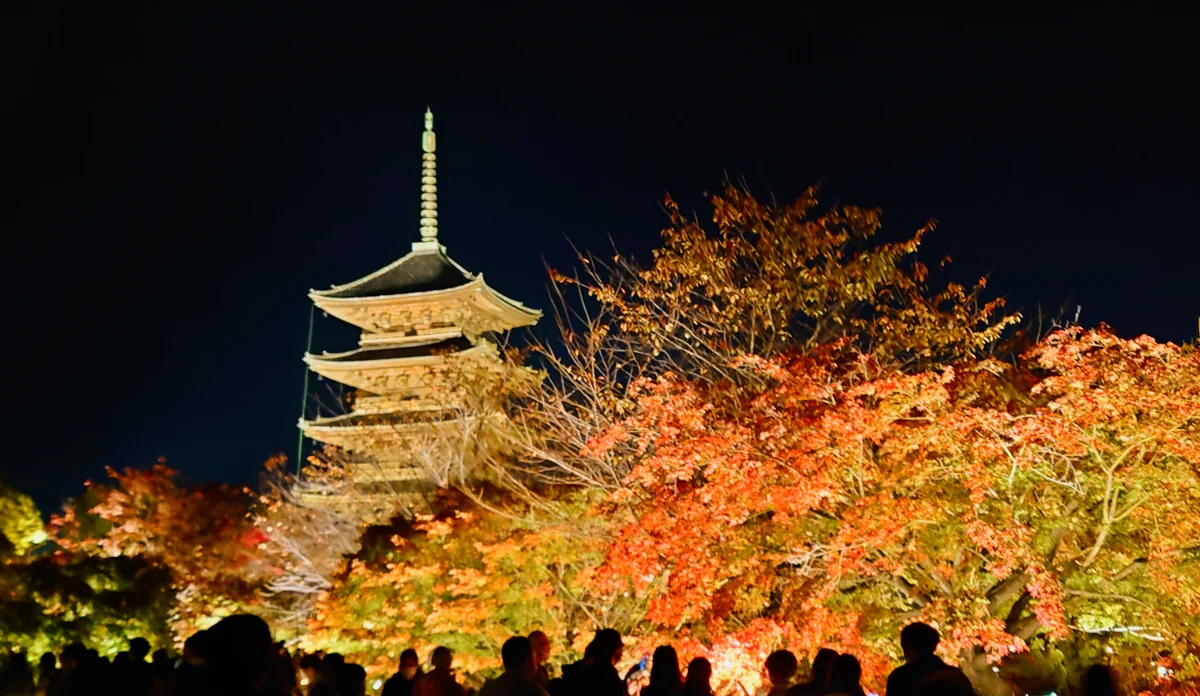 投稿写真：東寺ライトアップ