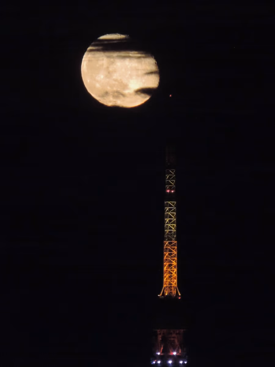 投稿写真：東京タワーと居待月
