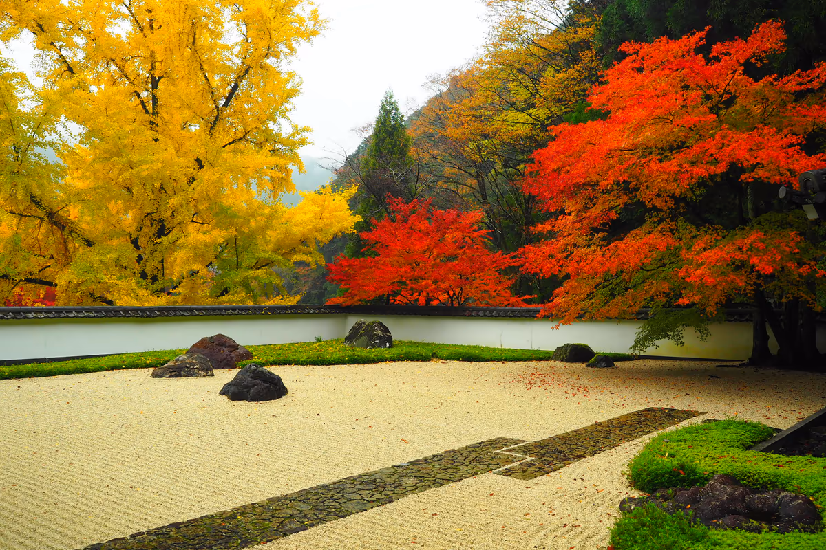 投稿写真：玉堂美術館　秋の色