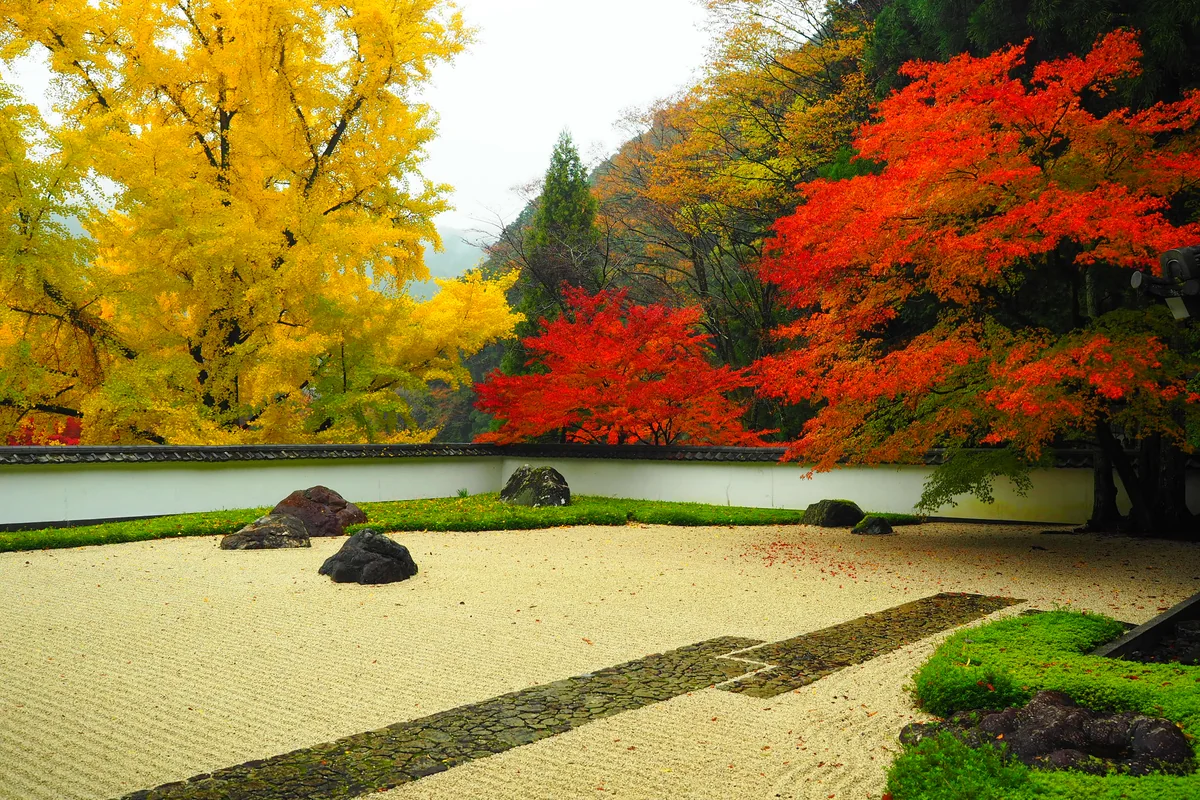 投稿写真：玉堂美術館　秋の色