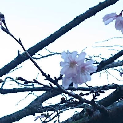  | 絶景事典