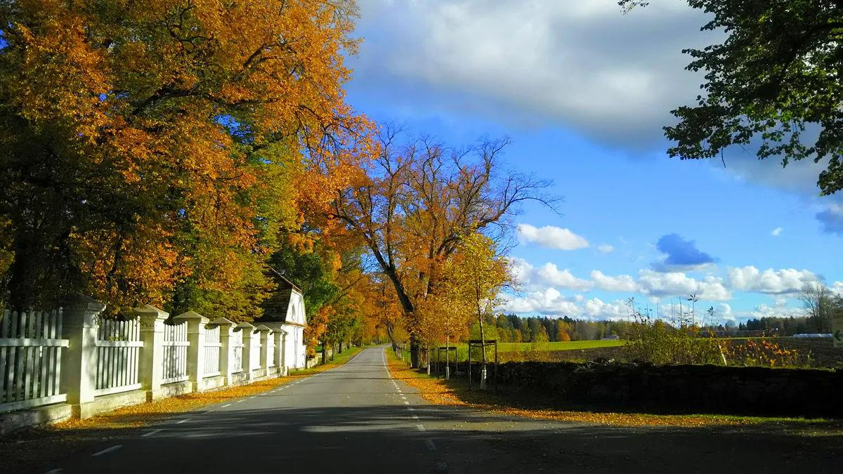 投稿写真：エストニアの秋