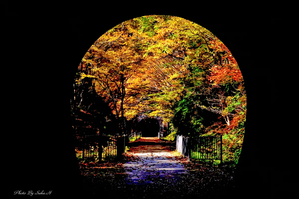 投稿写真：トンネルを抜けると。。。