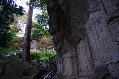  | 絶景事典