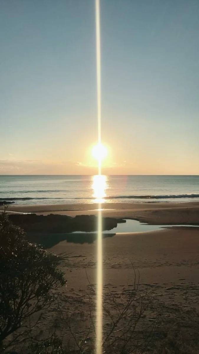 投稿写真：朝陽