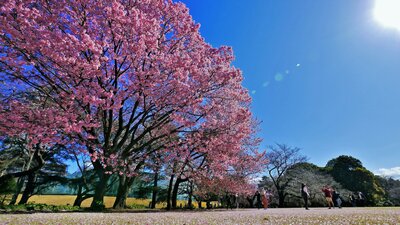  | 絶景事典