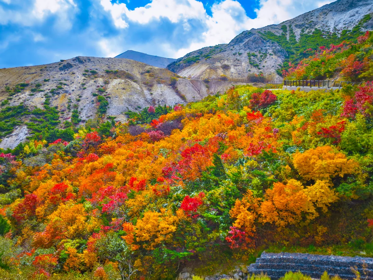 投稿写真：紅葉の谷と吾妻小富士