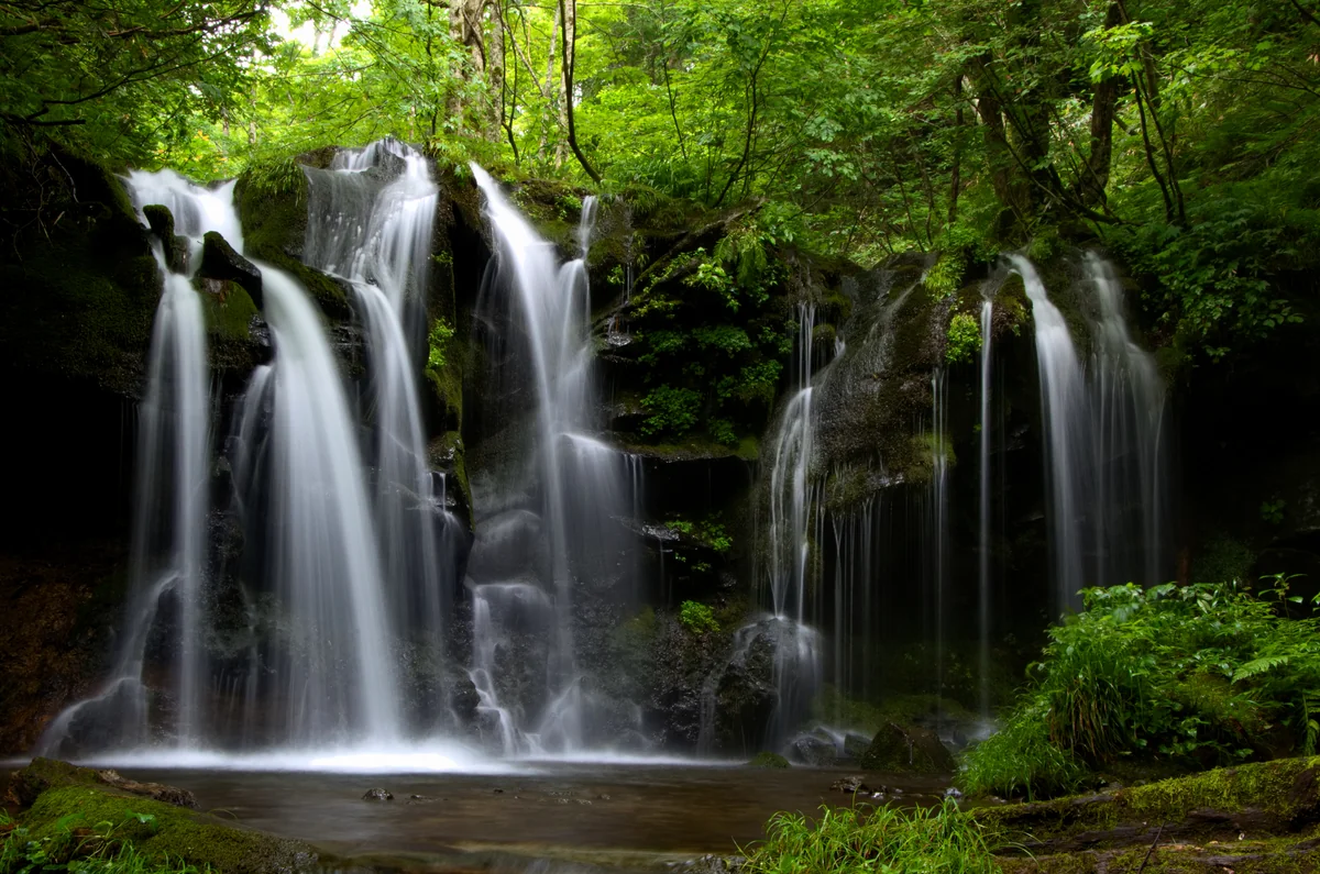 投稿写真：猿壺の滝