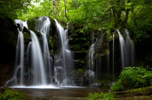 投稿：猿壺の滝