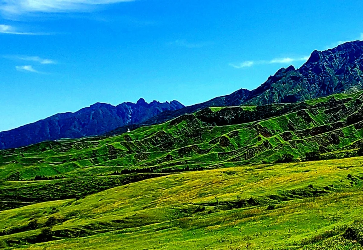 投稿写真：緑色に吸い込まれそう