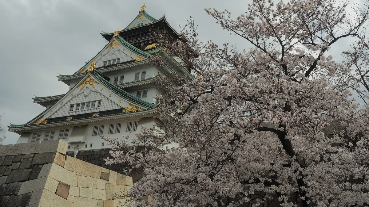 投稿写真：大阪城天守閣と桜