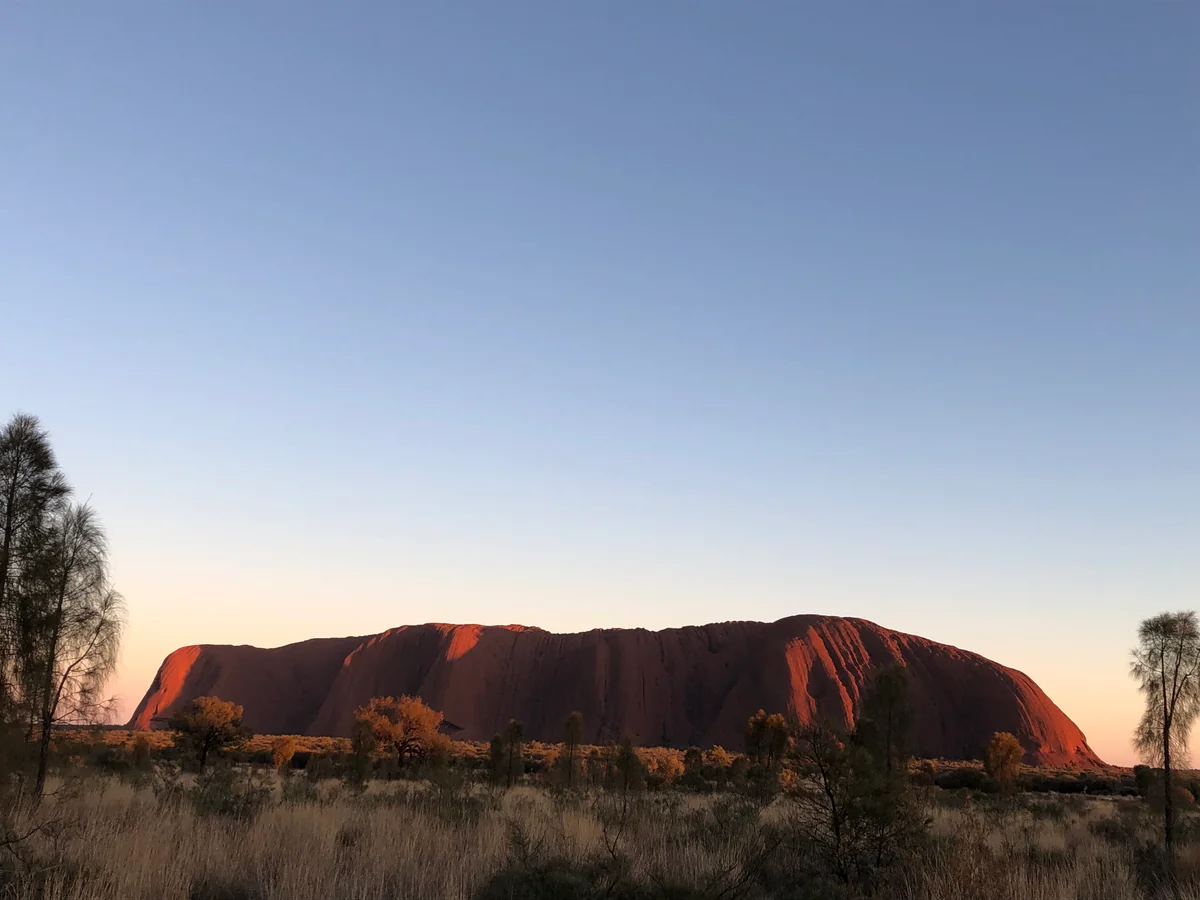 投稿写真：サンライズのウルルです
