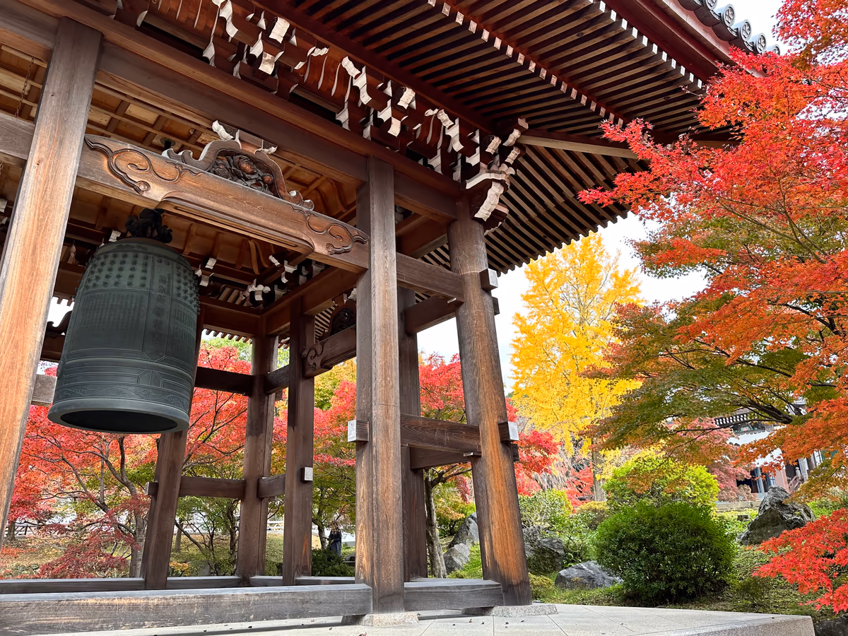 投稿写真：智積院の紅葉