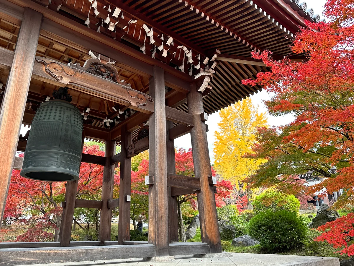 投稿写真：智積院の紅葉