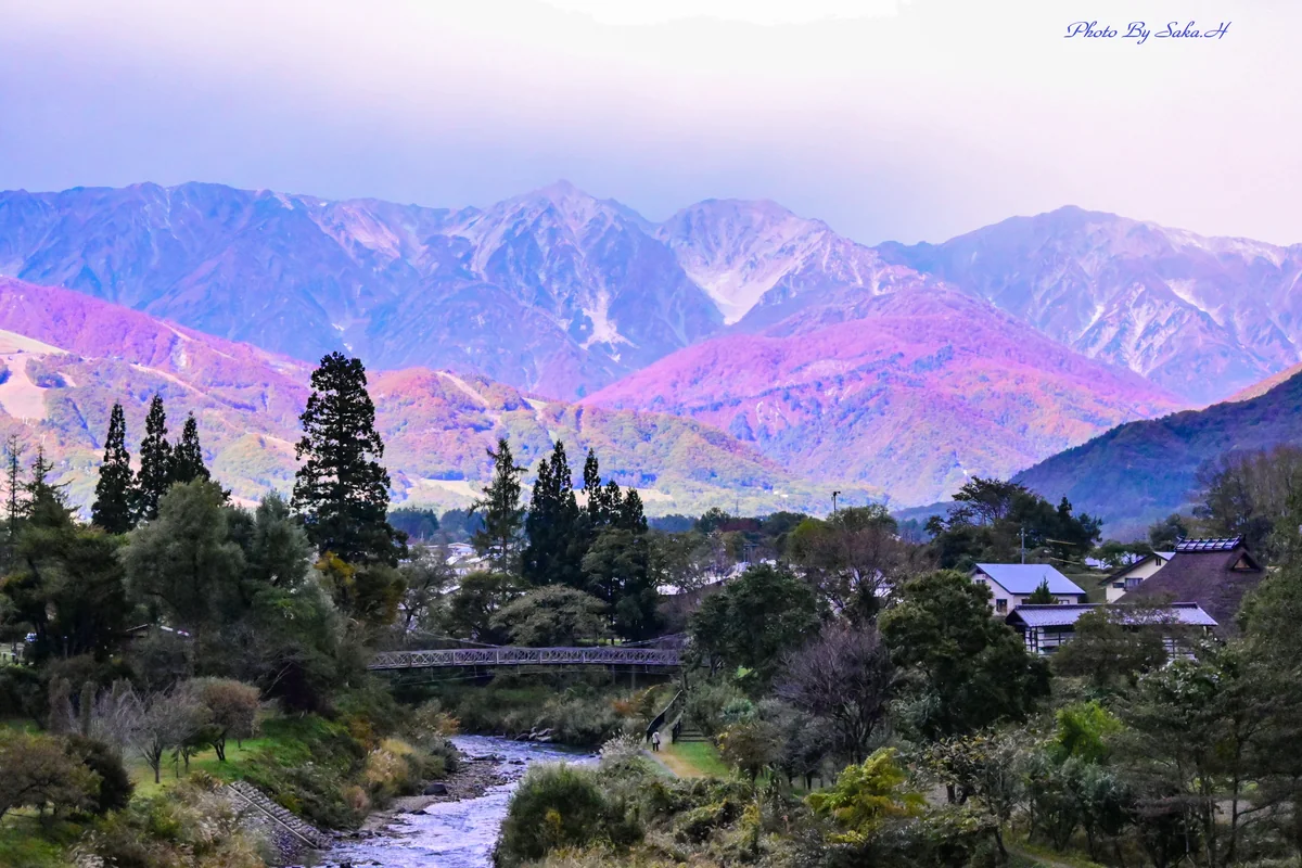 投稿写真：大出公園