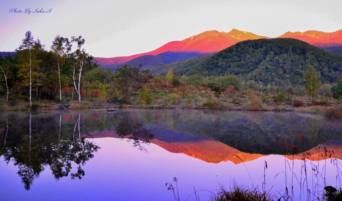 投稿写真：朝焼け