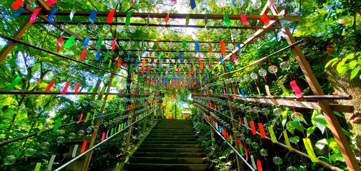 投稿写真：風鈴に願いを込めて