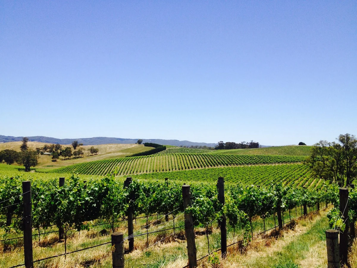 投稿写真：オーストラリア