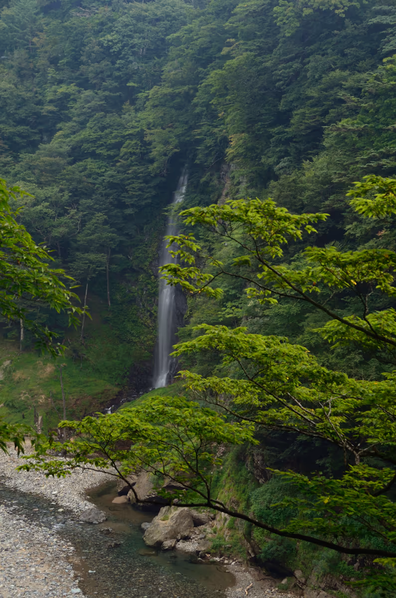 投稿写真：回顧の滝