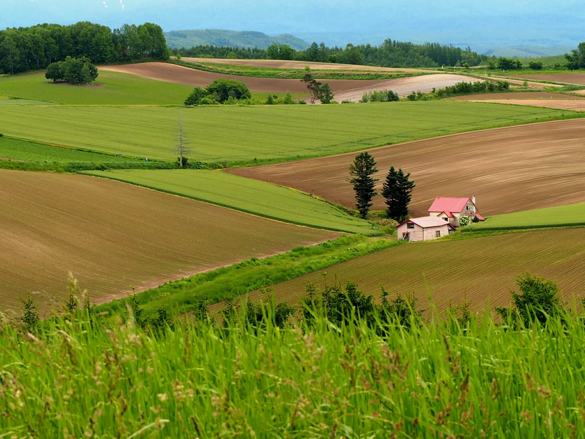 投稿写真：赤い屋根の家