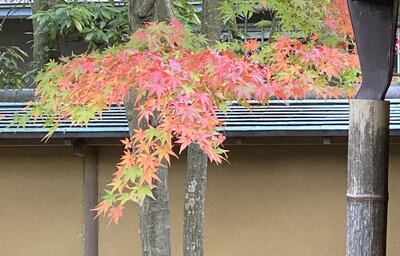  | 絶景事典