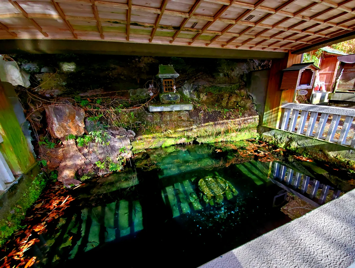 投稿写真：鏡ヶ池