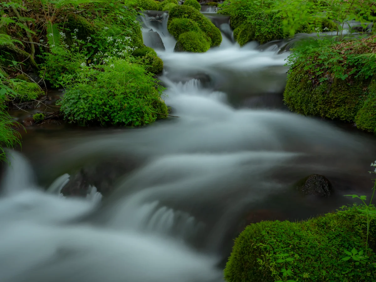 投稿写真：尚仁沢湧水