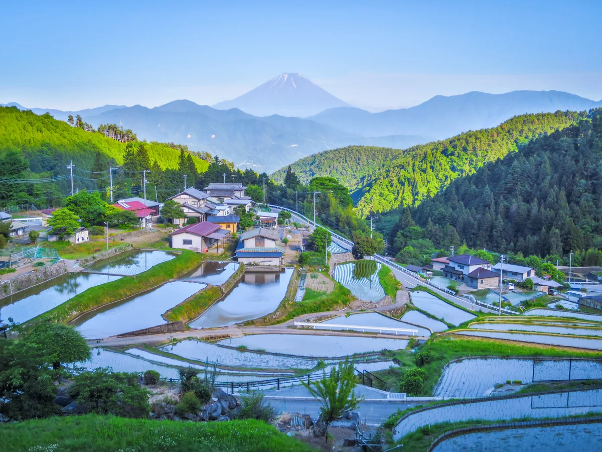 投稿写真：平林の棚田と富士山