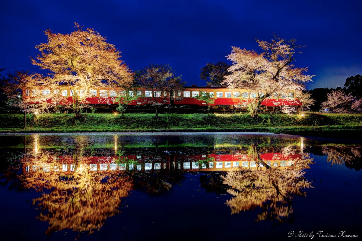 投稿写真：ふつ～に、夜桜列車水鏡♪