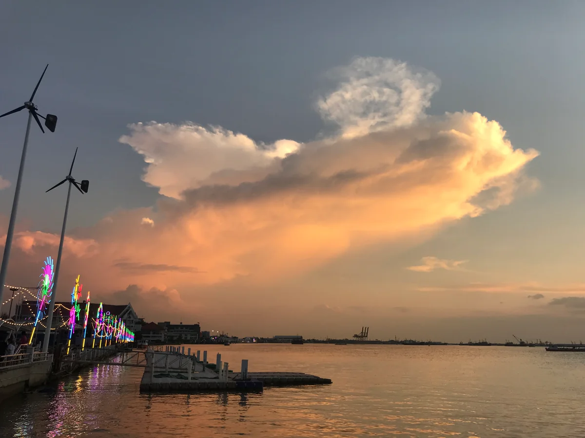 投稿写真：河口の近くでは雲も魚に見える？！