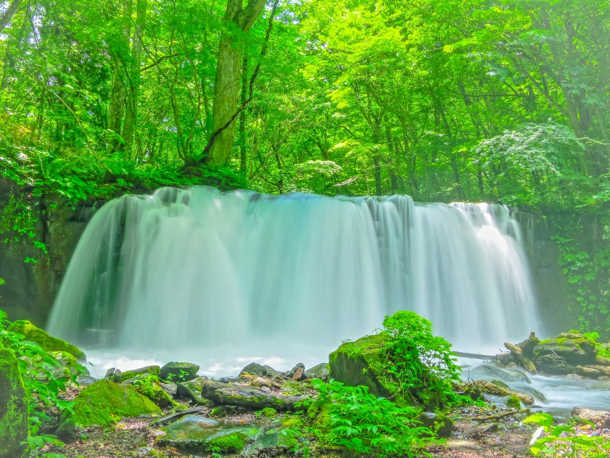 投稿写真：新緑の銚子大滝