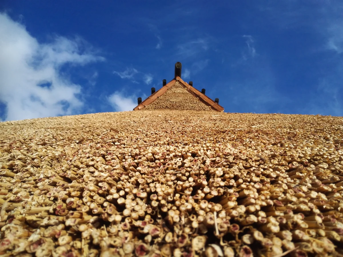 投稿写真：茅葺き屋根