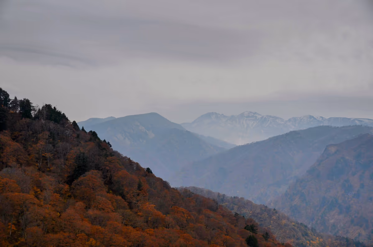 投稿写真：白山秋峰