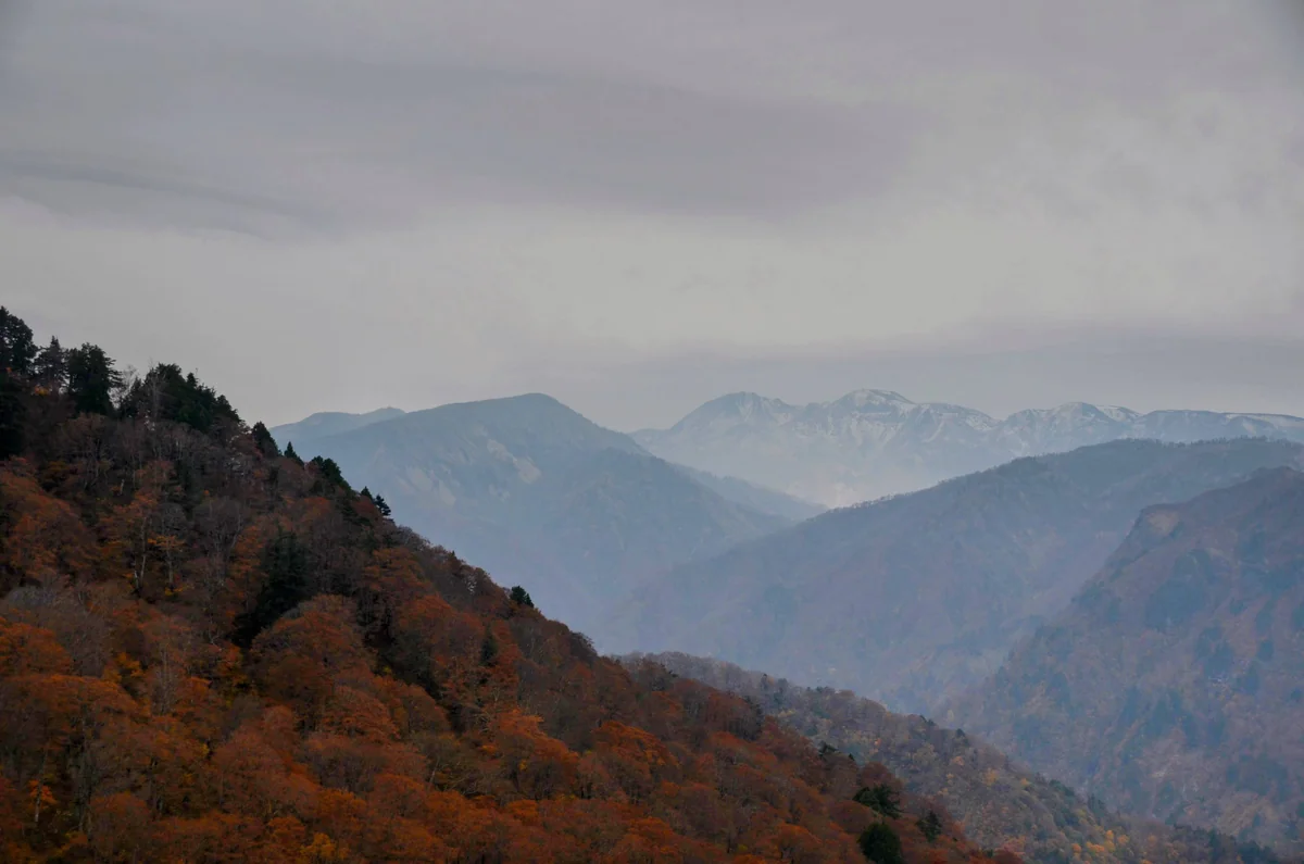 投稿写真：白山秋峰