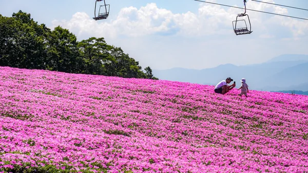 投稿：ひるがの高原ピクニックガーデン