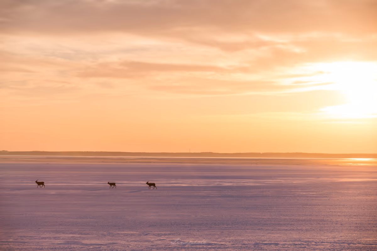 投稿写真：この世の果て