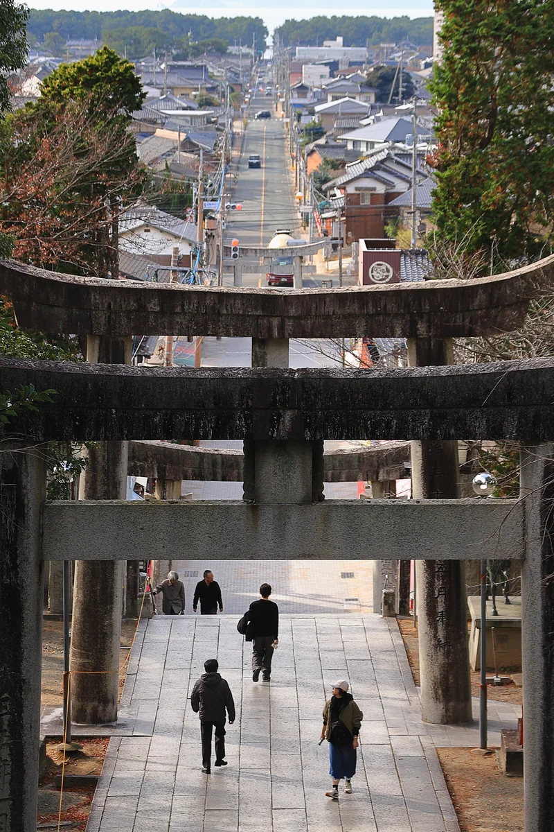 投稿写真：光の道